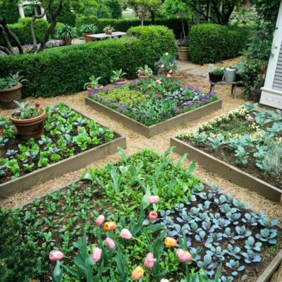How Square Foot Gardening Makes Gardening Easier for Seniors