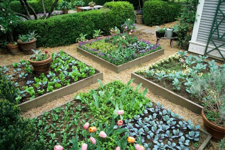 How Square Foot Gardening Makes Gardening Easier for Seniors